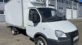 Газель Бизнес (3009A3)